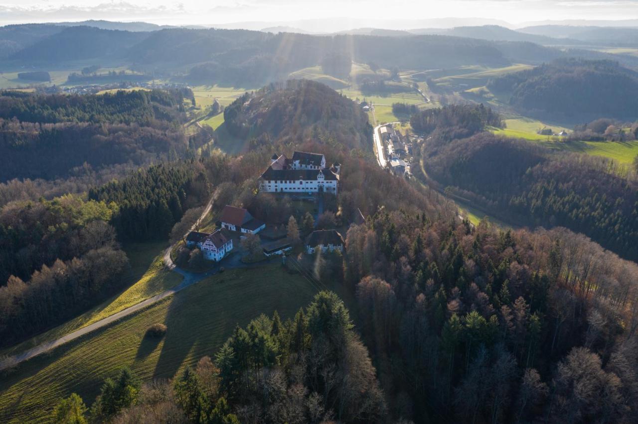 Hotel & Tagungszentrum Schloss Hohenfels Hohenfels  Экстерьер фото