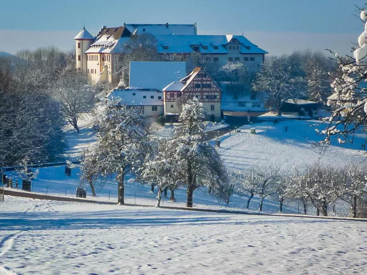 Hotel & Tagungszentrum Schloss Hohenfels Hohenfels  Экстерьер фото