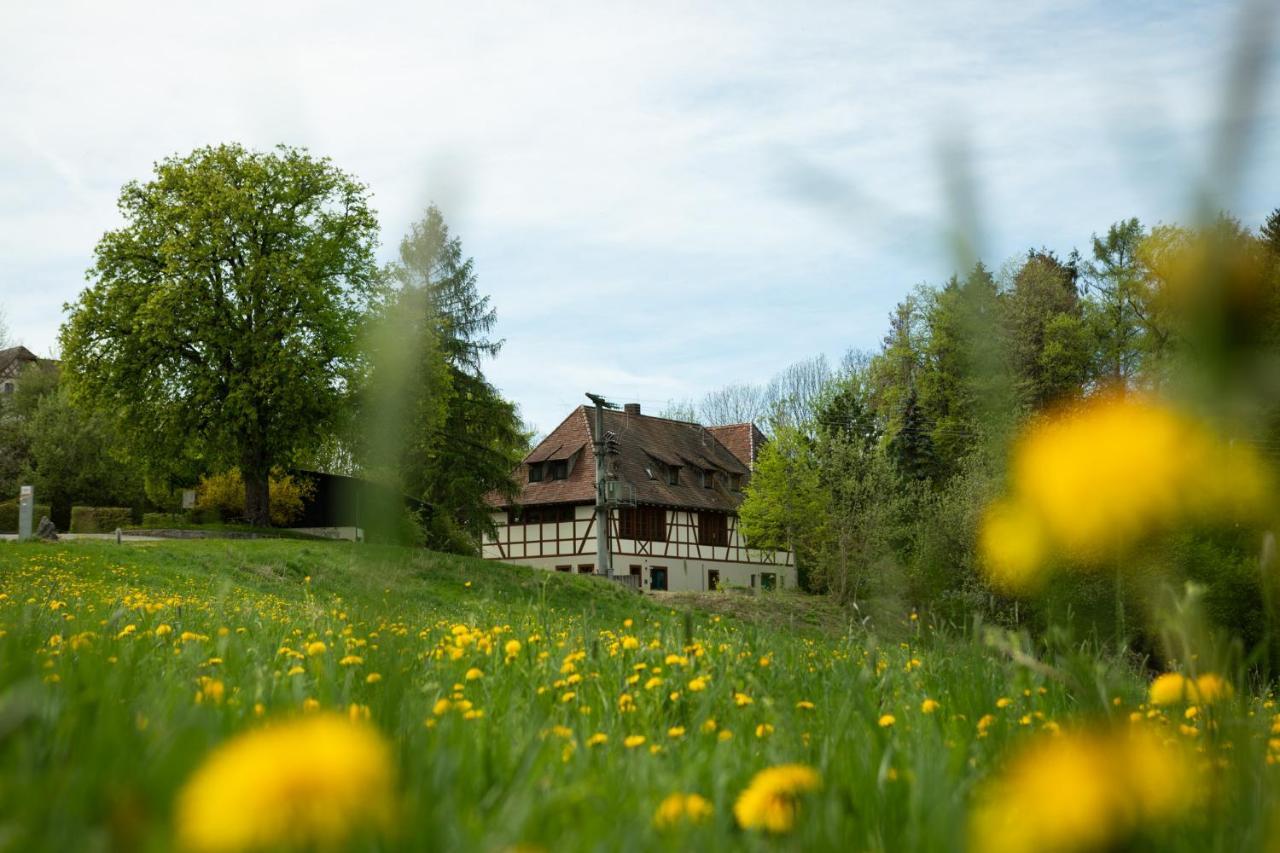 Hotel & Tagungszentrum Schloss Hohenfels Hohenfels  Экстерьер фото