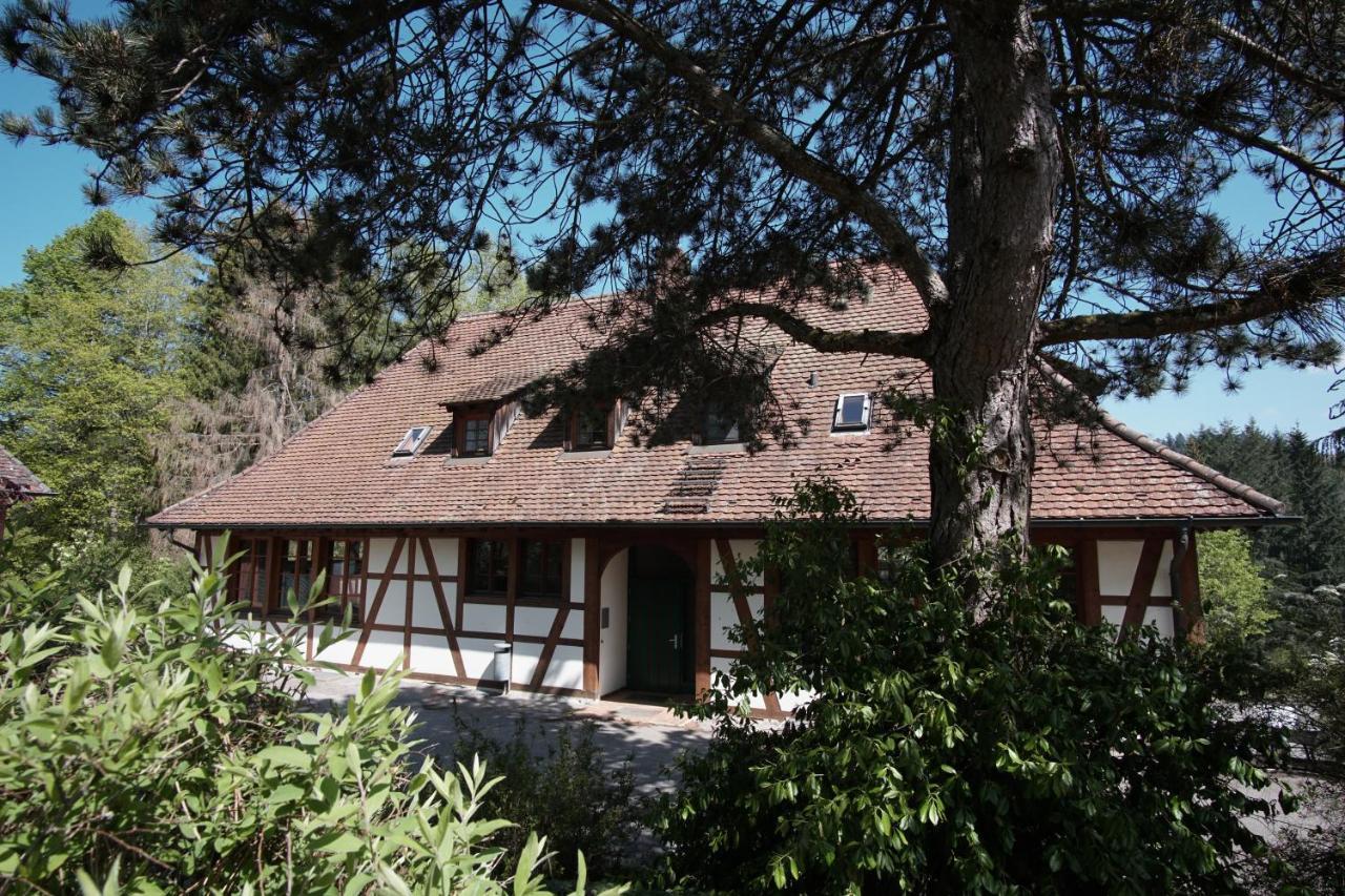 Hotel & Tagungszentrum Schloss Hohenfels Hohenfels  Экстерьер фото