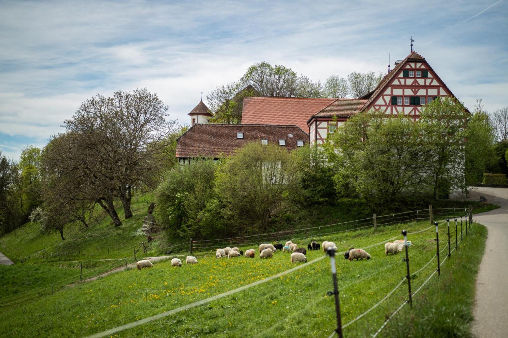 Hotel & Tagungszentrum Schloss Hohenfels Hohenfels  Экстерьер фото